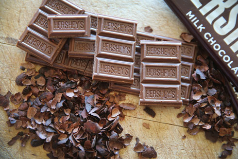 הרשי עומדת מאחורי כמה מחקרים שהתפרסמו בשנים האחרונות ושמוכיחים ששוקולד טוב לבריאות בדרכים שונות (צילום: Scott Olson/GettyimagesIL)