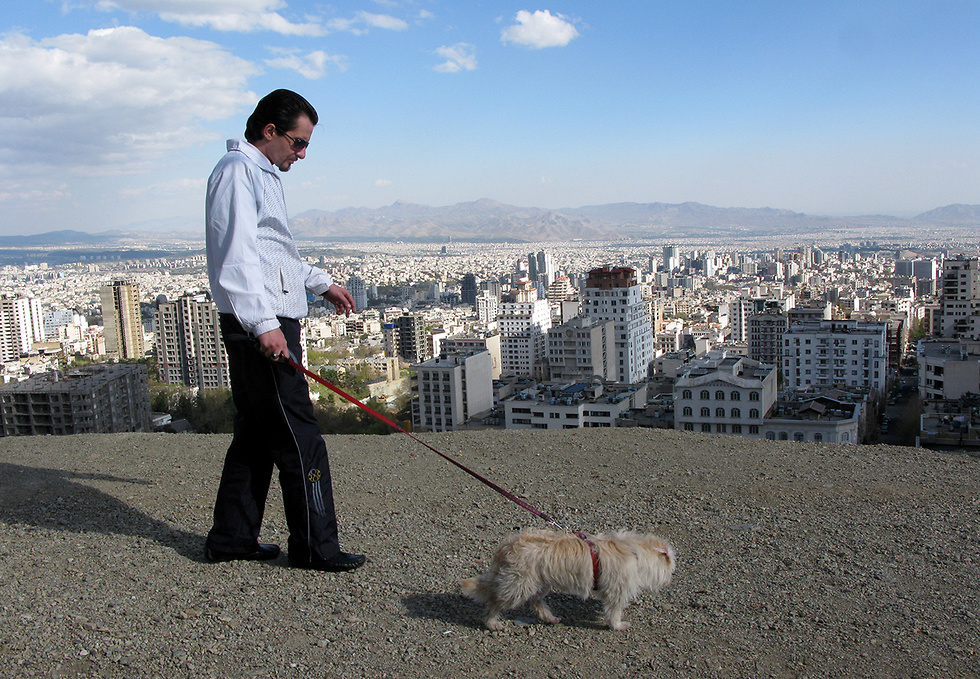כלבים ב טהרן איראן (צילום: AP)