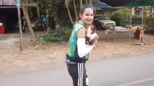 אספה כלב משוטט ב מרתון ב תאילנד ()