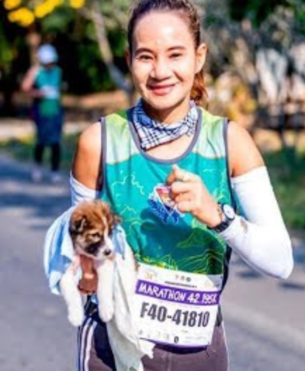 אספה כלב משוטט ב מרתון ב תאילנד ()
