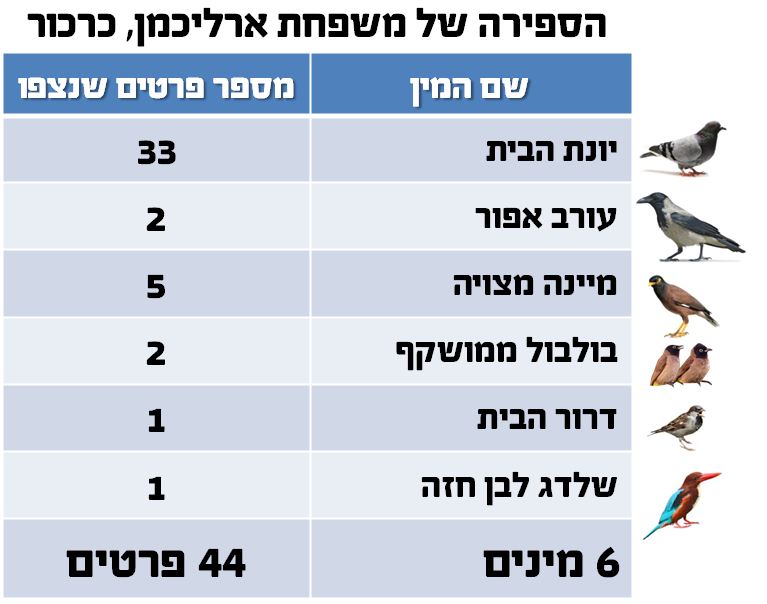 צילום: shutterstock