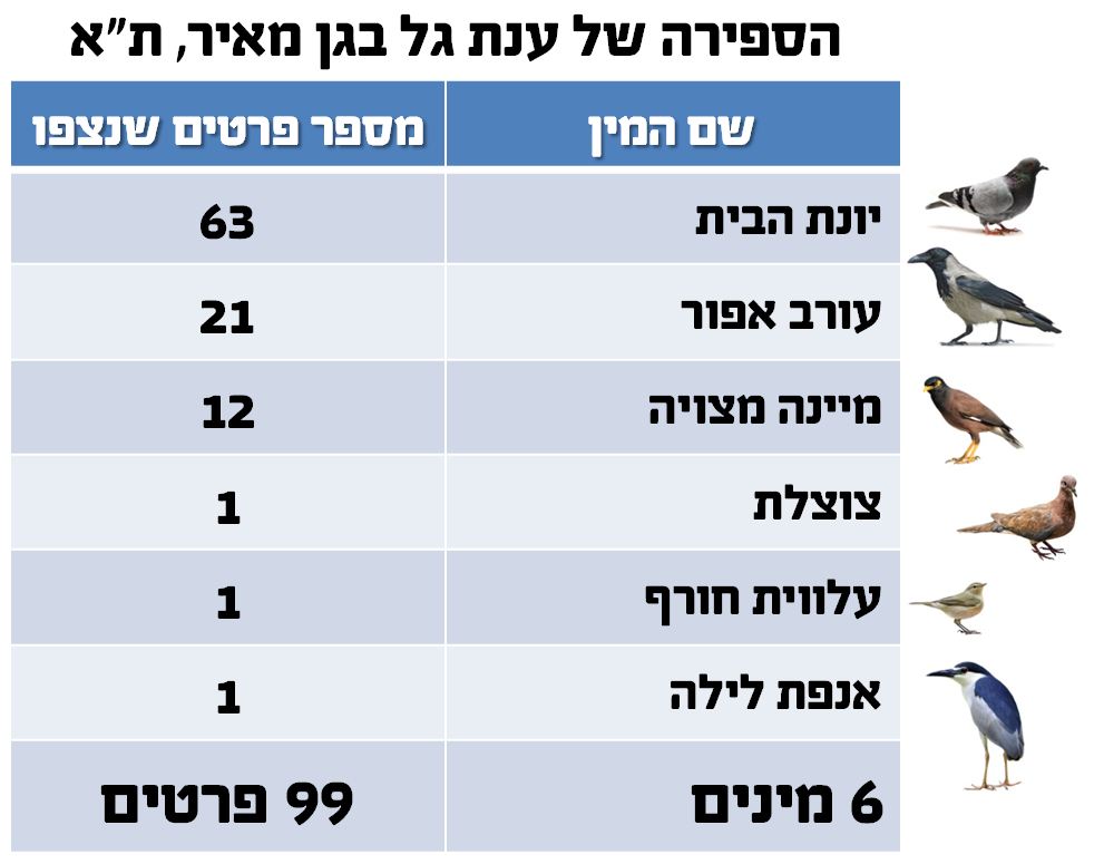 צילום: shutterstock