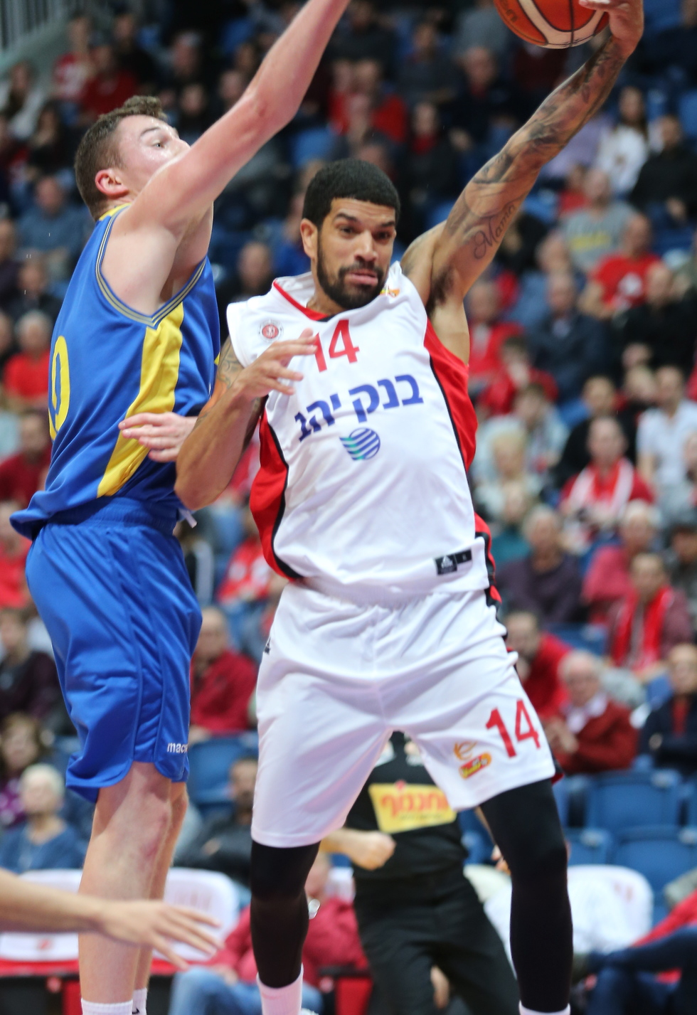 צילום: אלכס קולומויסקי צילום: אלכס קולומויסקי