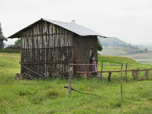 בונים עם חומרים מקומיים, ואין ספק שהבית הזה, באתיופיה, נמצא בהרמוניה עם הטבע (צילום: גיא שחר)