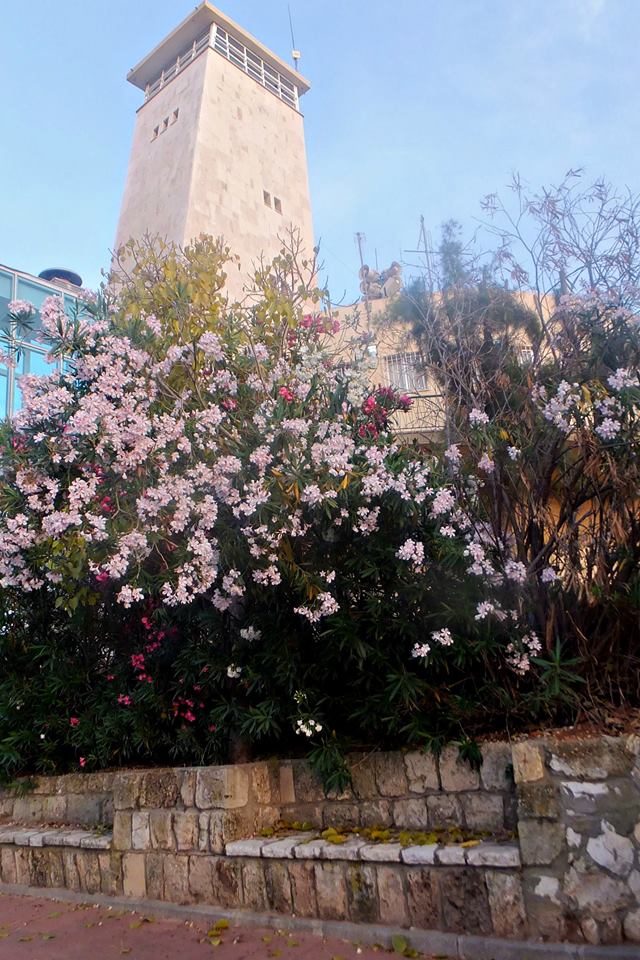 Смотровая башня - часть здания "Бейт Яд ле-баним". Фото: Леон Левитас