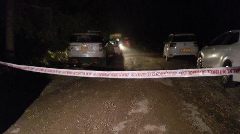 צילום:  ישי פורת