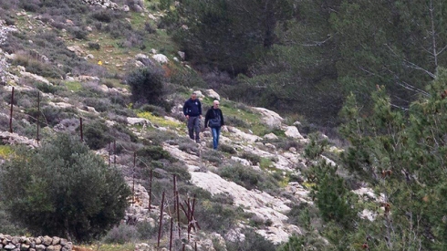 צילום: אלכס קולומויסקי