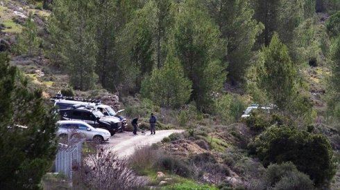 צילום: אלכס קולומויסקי