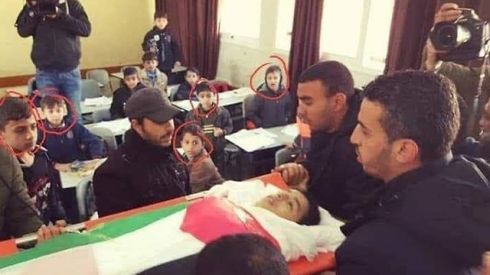 תמונה כללית