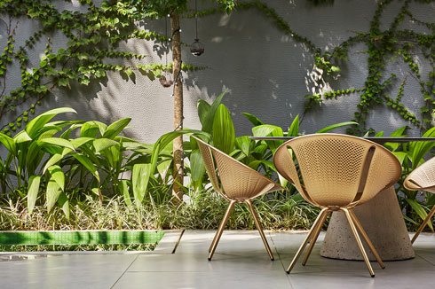 הכיסאות של ''מורוסו'', השולחן בעיצוב האדריכל (צילום: Pedro Kok)