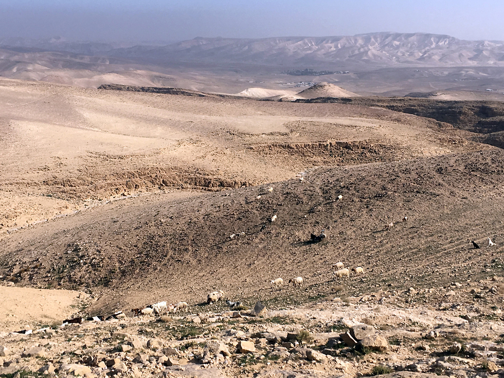 נוף במדבר יהודה (צילום: גלעד כרמלי)