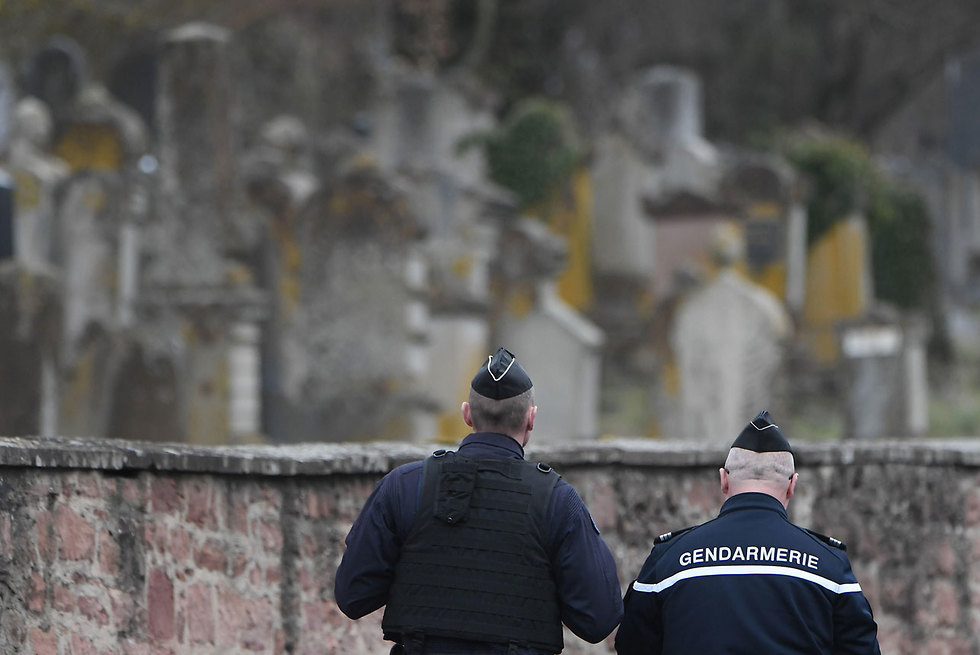 Оскверненное еврейское кладбище в Страсбурге. Фото: AFP  