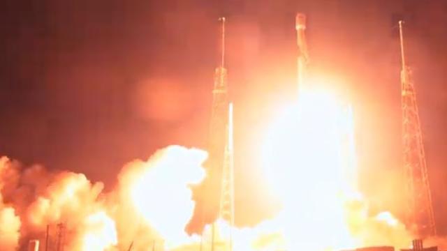 Beresheet's liftoff (Photo: SpaceX)