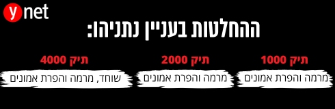 תמונה כללית