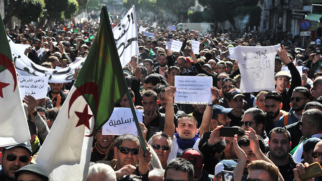 אלג'יריה הפגנות מחאה נגד הנשיא בוטפליקה  (צילום: MCT)