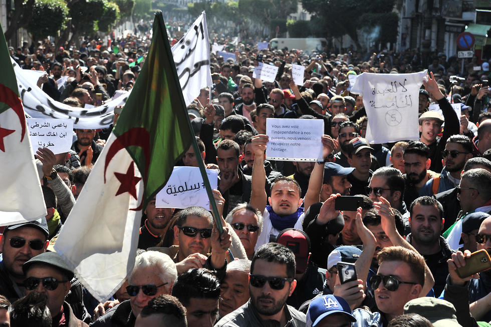 אלג'יריה הפגנות מחאה נגד הנשיא בוטפליקה  (צילום: MCT)