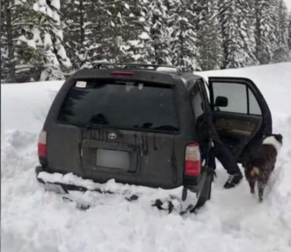 גבר נתקע חמישה ימים ב שלג ב יער אורגון ארה