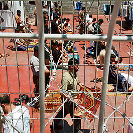 בתי הכלא. אסירים ביטחוניים פלסטינים | צילום: אפי שריר