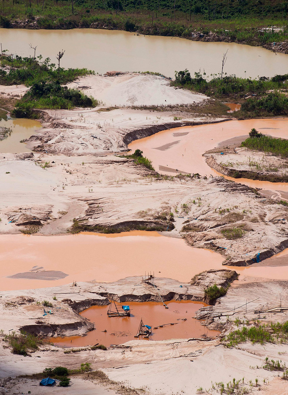 פרו הקימה בסיס צבאי כדי לשמור על העצים ב יערות הגשם אמזונס  (צילום: AFP)