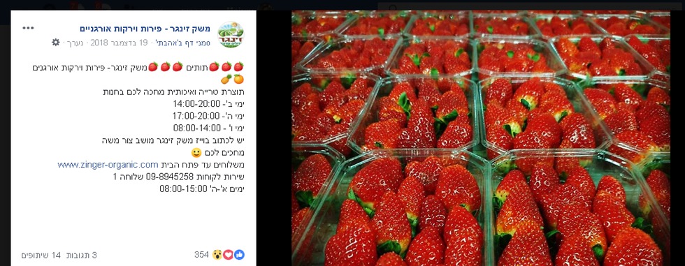 ירקות פירות אורגניים משק זינגר (צילום מסך)