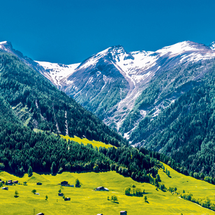 האלפים השווייצריים