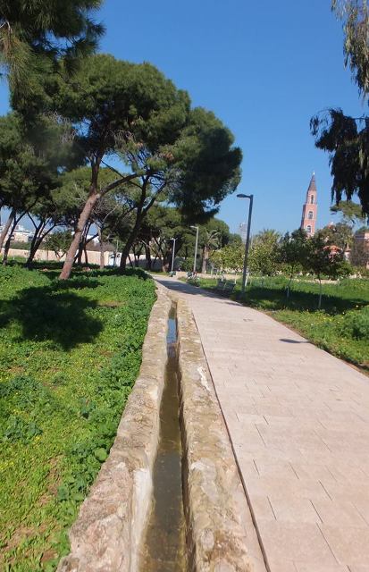 Ухоженные дорожки нового парка на месте старой плантации. Фото: Леон Левитас