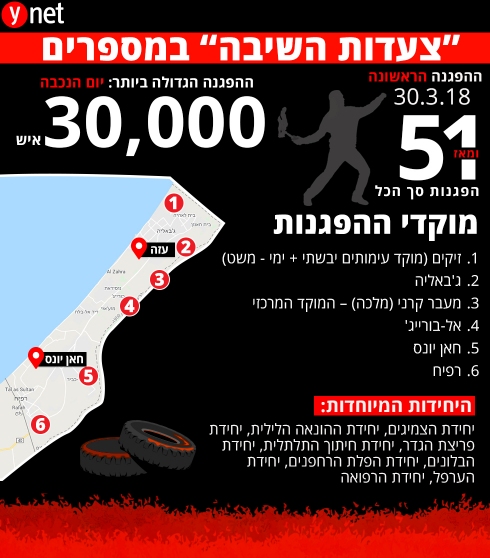 תמונה כללית