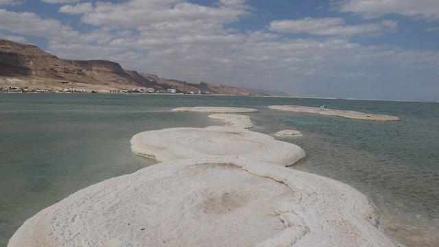 Мертвое море. Фото: Ави Муалем