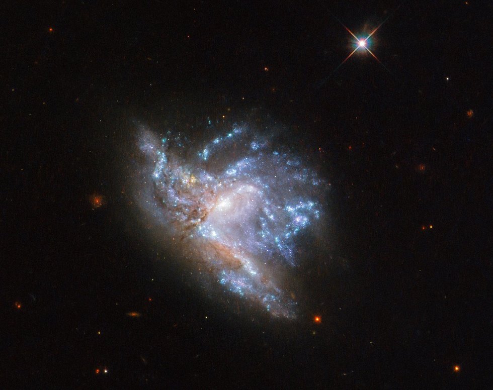NGC 6052  (צילום: נאס