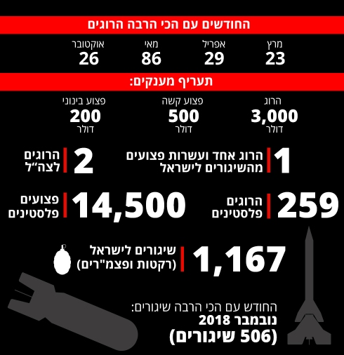 תמונה כללית