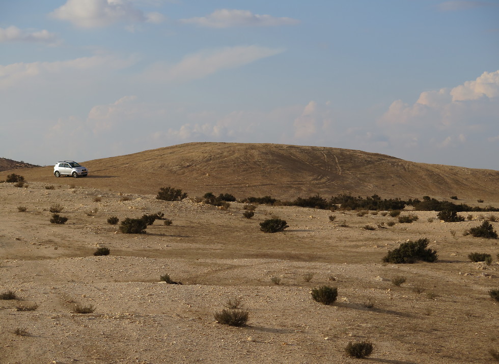 האזור שבו נערכה החפירה (צילום: אוניברסיטת חיפה)
