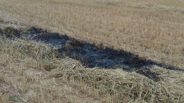 שדה החקלאי באשכול שנשרף ()