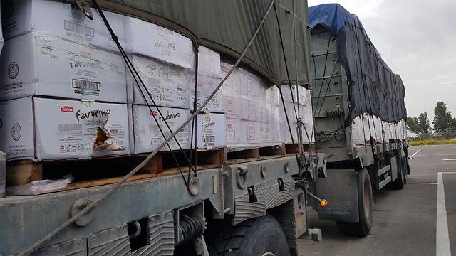Israeli trucks carrying goods into the Gaza Strip, March 31, 2019 (Photo: Barel Efraim)
