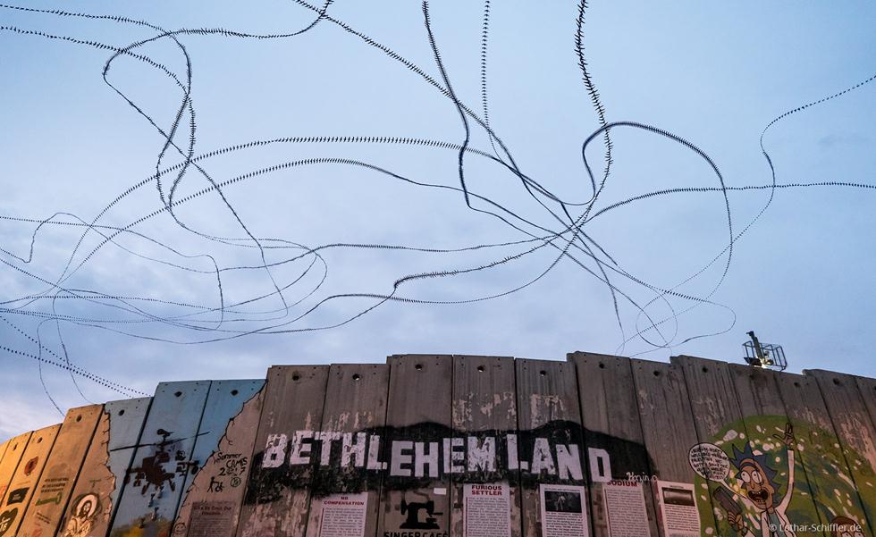 סיסים מעל חומת ההפרדה בבית לחם (צילום: Lothar Schiffler)
