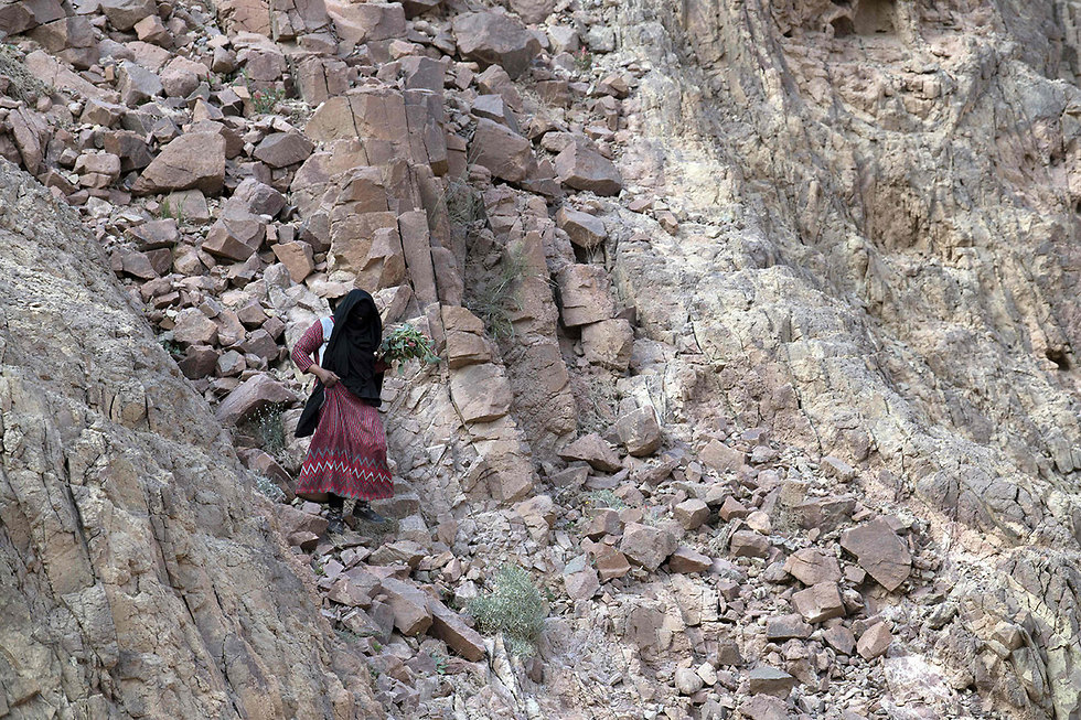 נשים בדואיות מדריכות טיולים ב סיני מצרים (צילום: AFP)