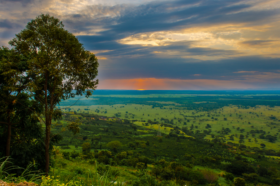 פארק לאומי המלכה אליזבת אוגנדה (צילום: shutterstock)