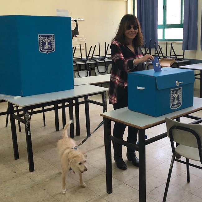 ירדנה ארזי ושמוליק, כלב השמירה של הדמוקרטיה ירדנה ארזי ושמוליק, כלב השמירה של הדמוקרטיה