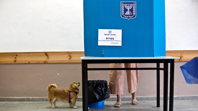מצביעים תל אביב עם כלב (צילום: רויטרס)