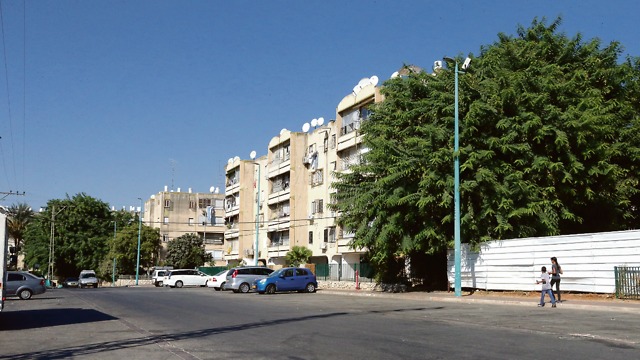 שכונת רמת אשכול בלוד (צילום: תומריקו)