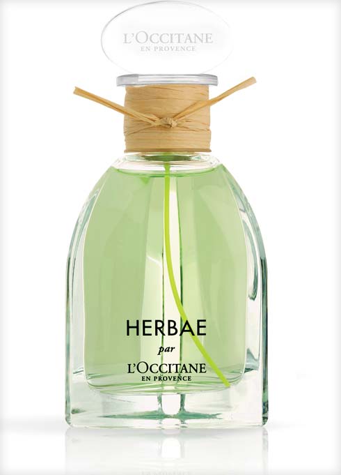 Herbae. ניחוח פראי וממכר שמבוסס על צמחי הפרא של פרובאנס (צילום: L'OCCITANE)