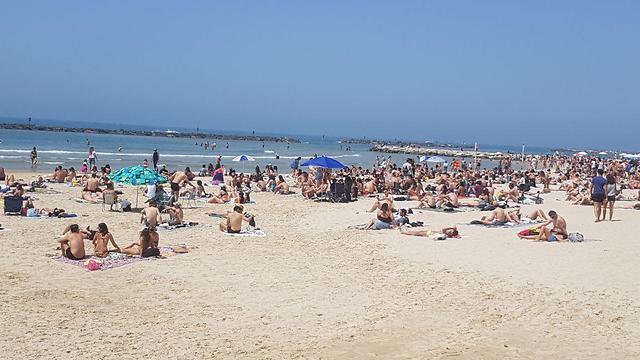 אנשים משתזפים בחוף פרישמן  (צילום: איתי בלומנטל )