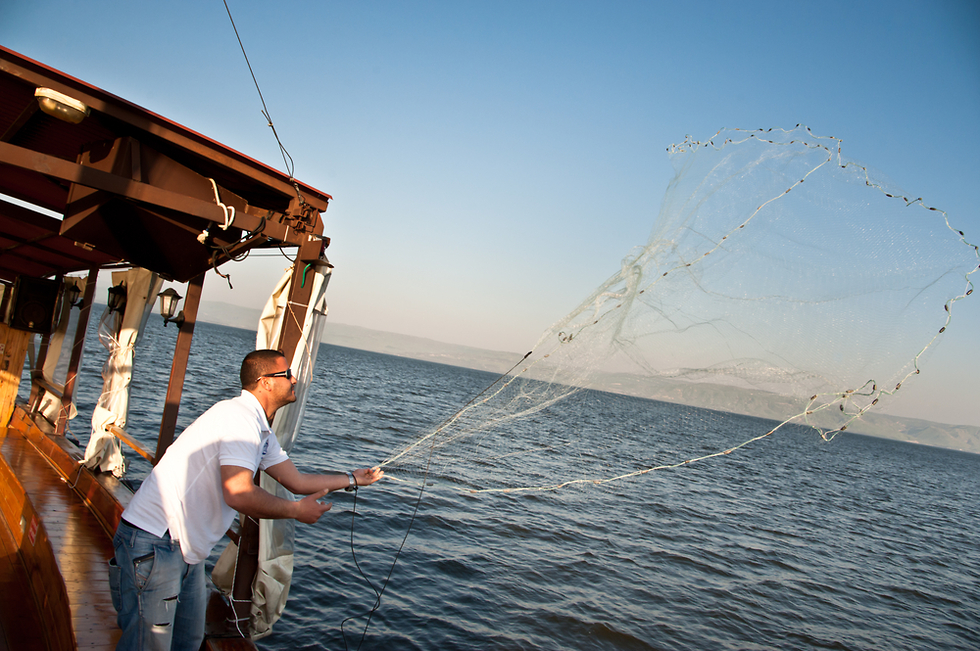 דייג משליך רשת דיג לכינרת (צילום: shutterstock)