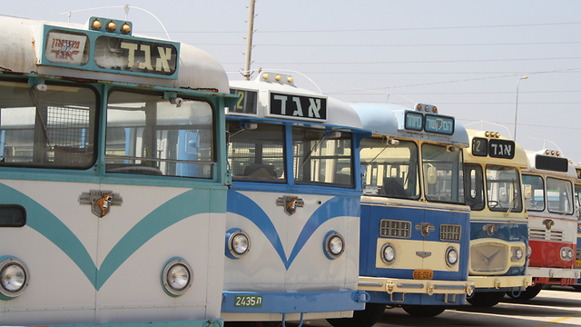 אוטובוסים ישנים במוזיאון אגד (צילום: צבי וינשטוק)