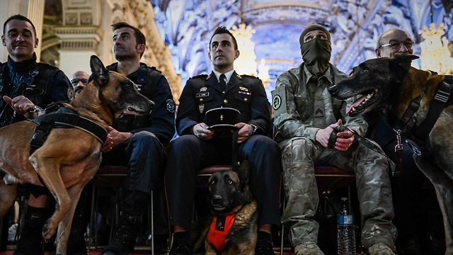 טקס הענקת פרס גיבור לאומי מכבי אש כבאים שריפה כלב פריז צרפת קתדרלת נוטרדאם (צילום: AFP)