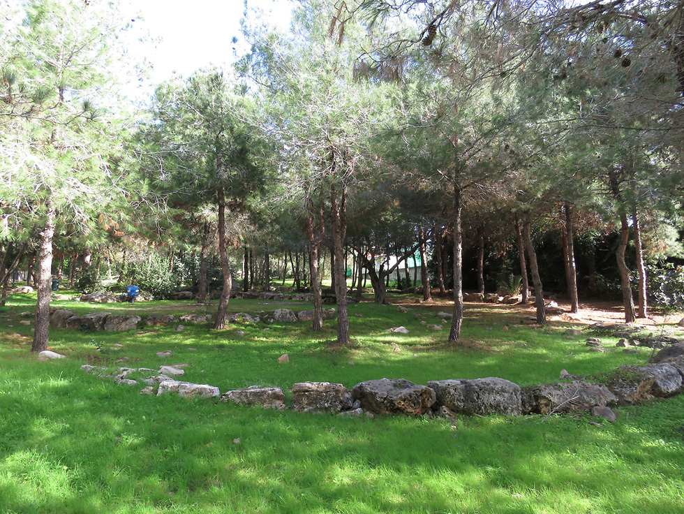 גן סטיבן בזיכרון יעקב (צילום: יחידת סקרי טבע עירוניים, החברה להגנת הטבע)