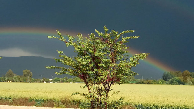 קשת בענן מזג אוויר כפר בלום (צילום: מירב זיו )