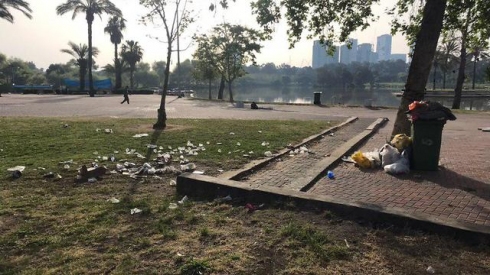 תמונה כללית