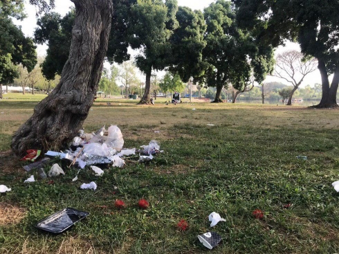 תמונה כללית