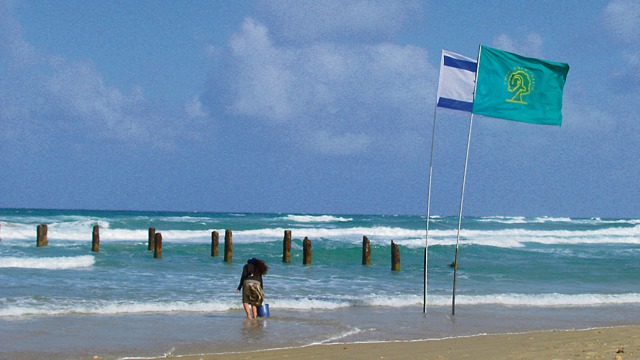 חוף ינאי (צילום: לימור פרידמן)