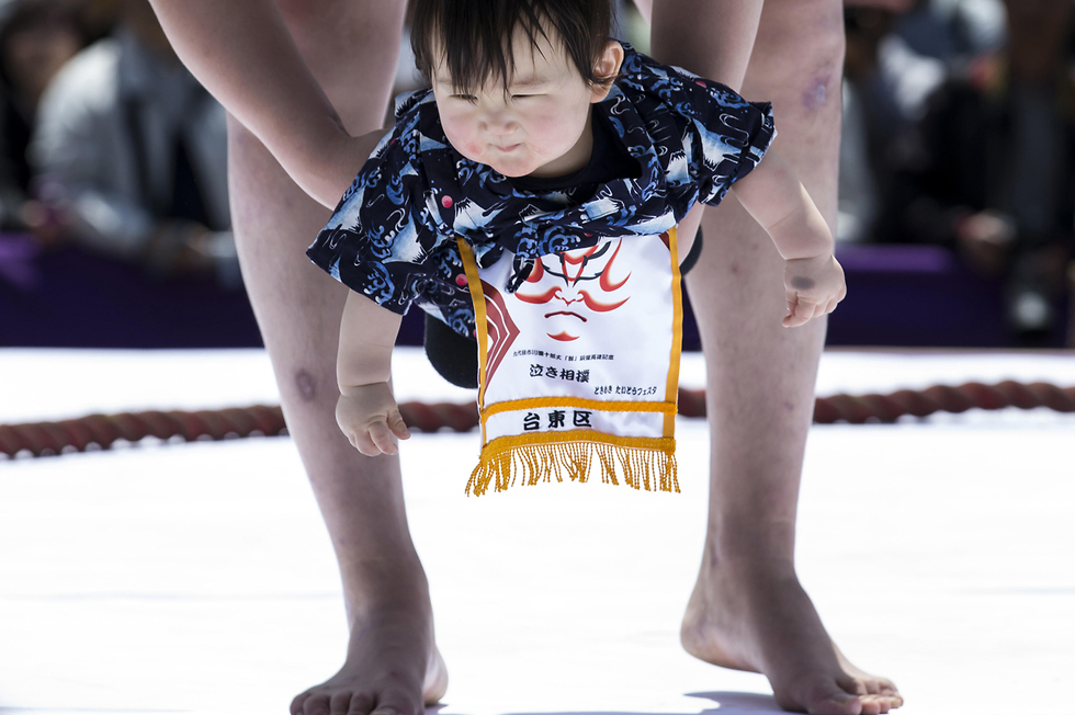 יפן מתאבקי סומו טלטול תינוקות  (צילום: gettyimages)